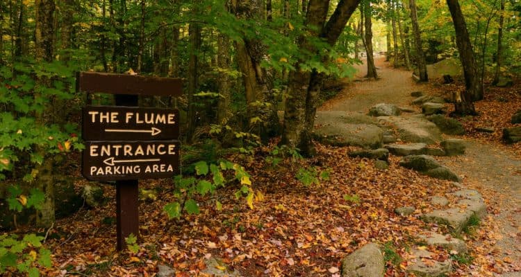 Hiking trail in the woods