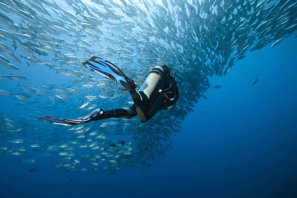 Tubbataha Reef, Philippines