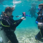 PADI Open Water Scuba Diving Instructor in Roatan