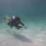 PADI Open Water Scuba Diving Instructor in Roatan