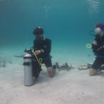 PADI Open Water Scuba Diving Instructor in Roatan