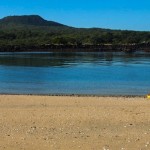 Kayaking the Hauraki Gulf, New Zealand