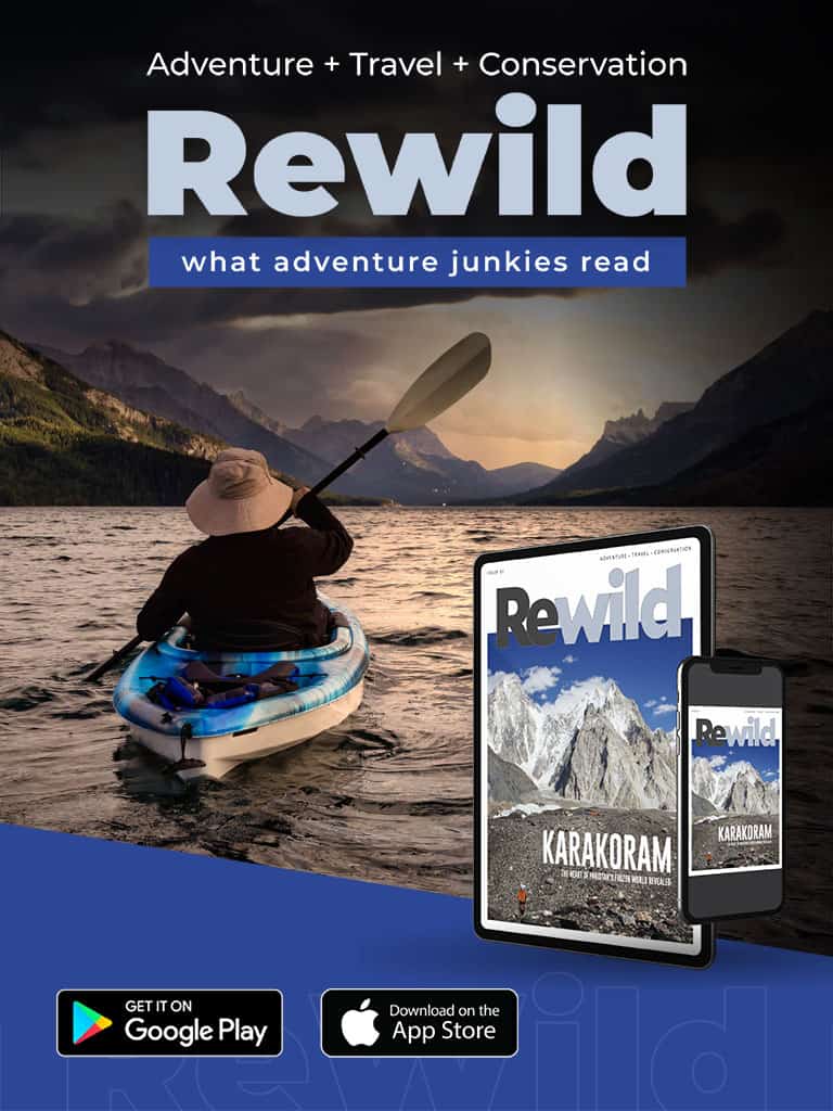 kayak hangers storage on Kayak Storage How To Store A Kayak The Adventure Junkies