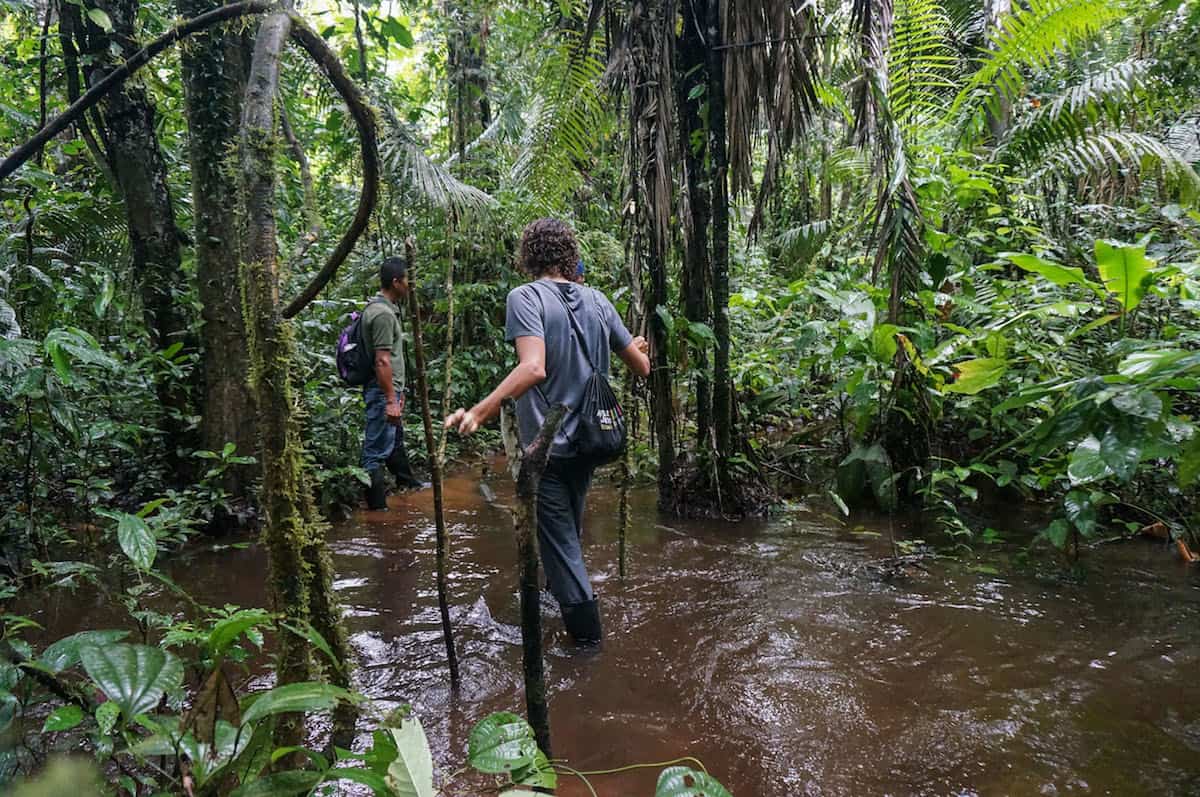 30 Post Cards From The Amazon That Will Inspire You To Head To The Jungle