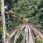 ecuador eco lodge