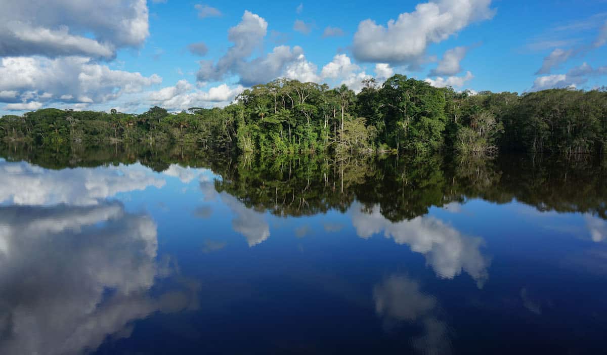 30 Post Cards From The Amazon That Will Inspire You To Head To The Jungle