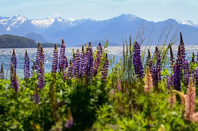 11 Tips for Awesome Hiking Photos