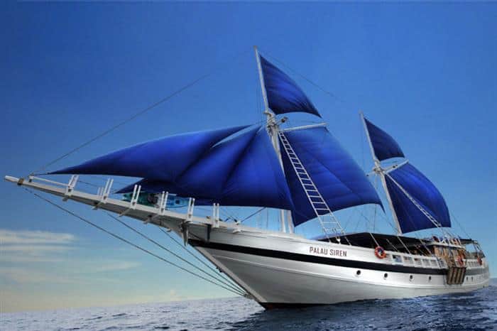 palau siren liveaboard