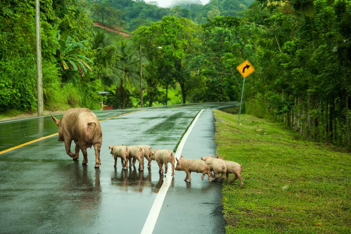 Cycling Through Central America Photo Essay