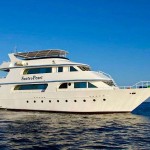 best liveaboard in red sea