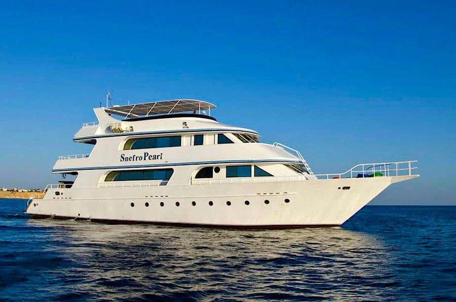 best liveaboard in red sea